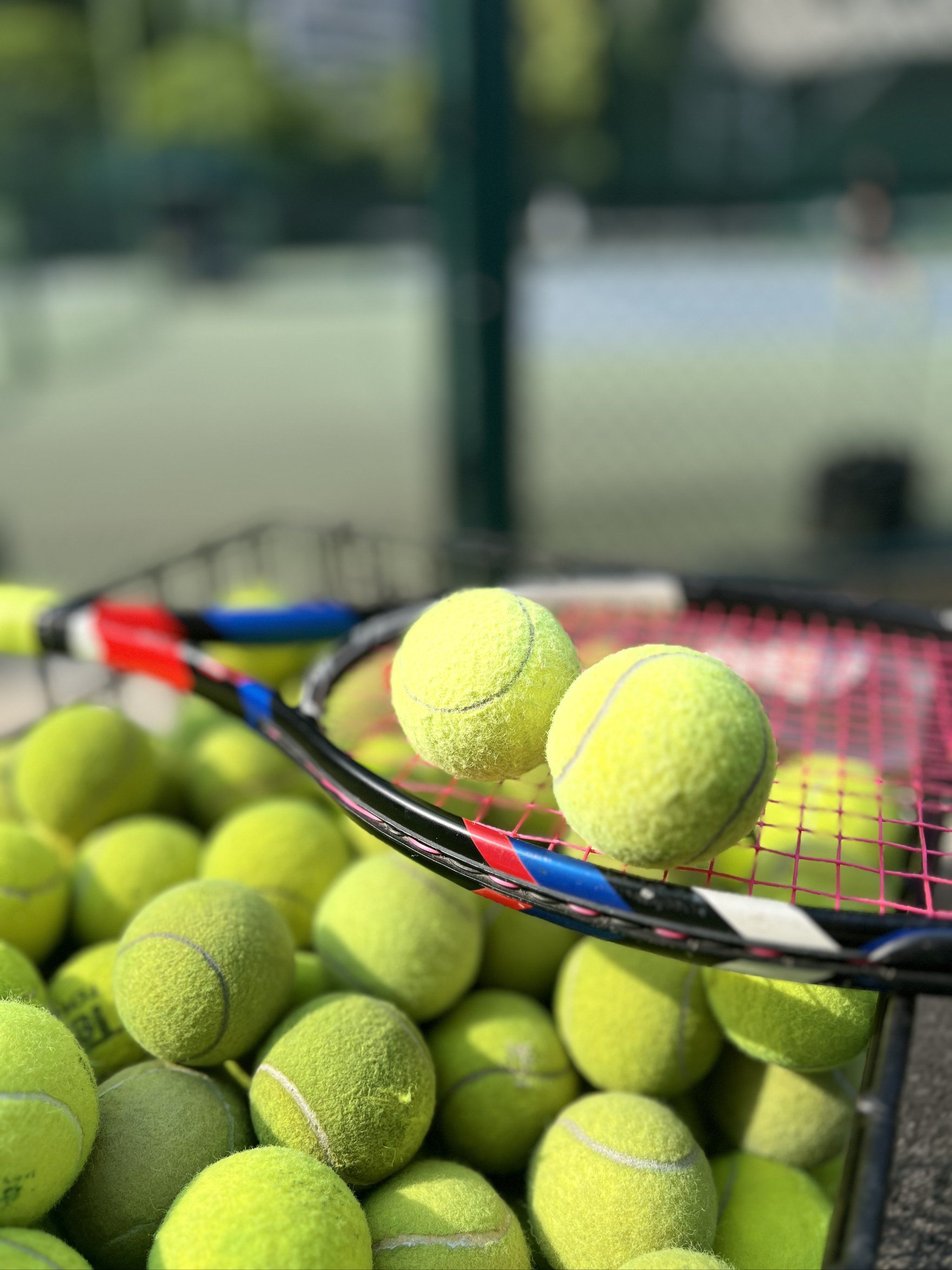 媒体讨伐后 媒体讨伐后